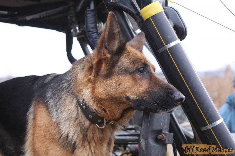 IMG_3461.jpg IMG_3461.jpg