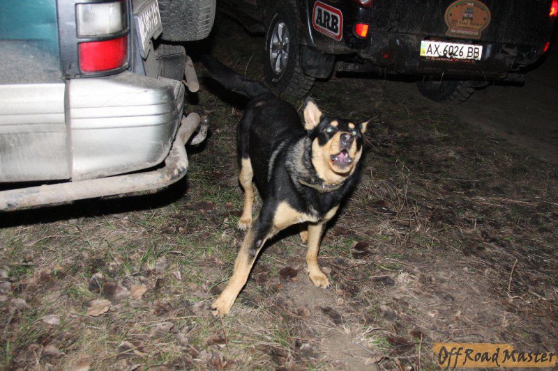 IMG_6765.jpg IMG_6765.jpg