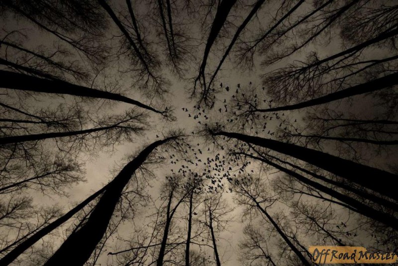 NEF_0163 копия.packed.jpg