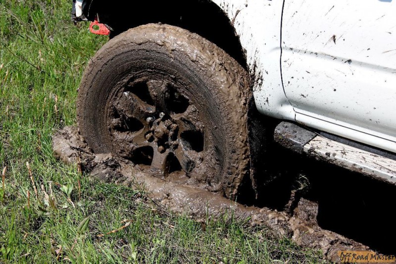 IMG_1350.jpg IMG_1350.jpg