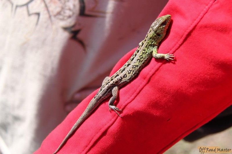 IMG_1426.jpg IMG_1426.jpg