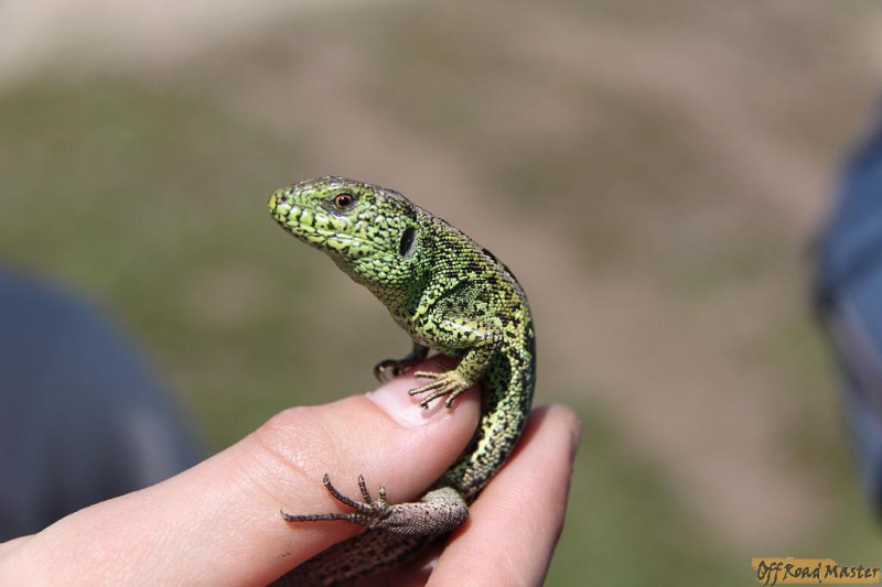 IMG_1420.jpg IMG_1420.jpg