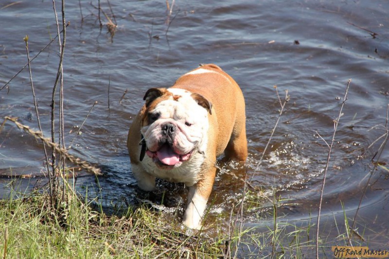 IMG_1412.jpg IMG_1412.jpg