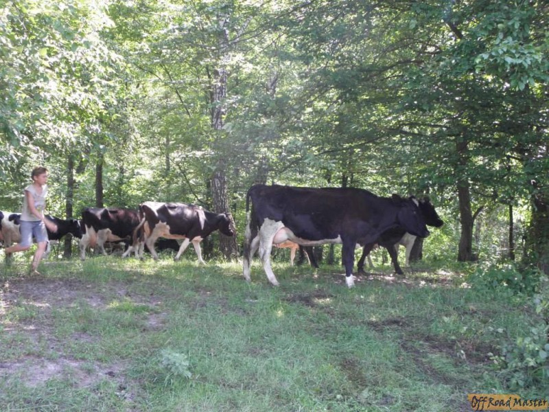 P5291794.JPG P5291794.JPG