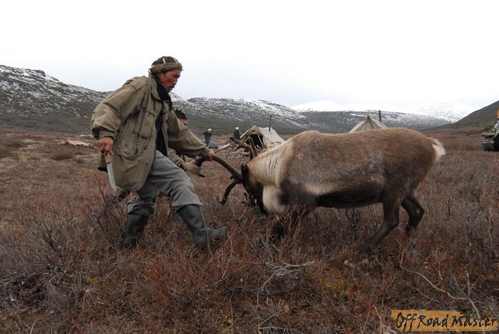 забой оленя.jpeg