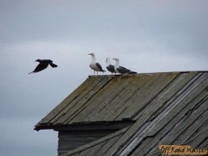 DSC02449.jpg DSC02449.jpg