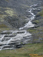 DSC02694.jpg DSC02694.jpg