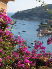 IMG_9040.jpg IMG_9040.jpg