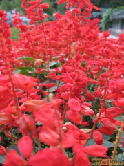 IMG_8996.jpg IMG_8996.jpg