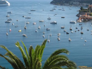 IMG_9037.jpg IMG_9037.jpg