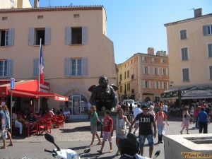 IMG_9239.jpg IMG_9239.jpg