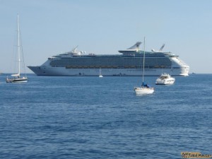 P8176839.jpg P8176839.jpg