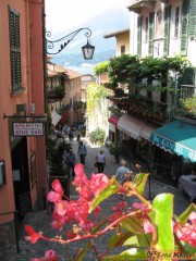 IMG_9454.jpg IMG_9454.jpg