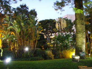 P8176885.jpg P8176885.jpg