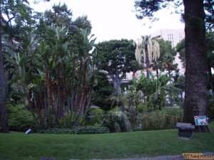 P8176872.jpg P8176872.jpg