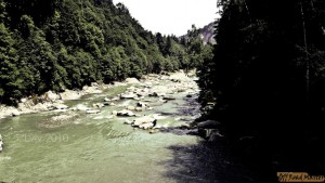 DSC05594.jpg DSC05594.jpg