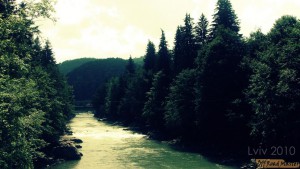 fbfbgfng.jpg fbfbgfng.jpg