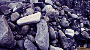 DSC06024.jpg DSC06024.jpg