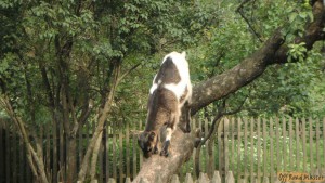 DSC05922.JPG DSC05922.JPG