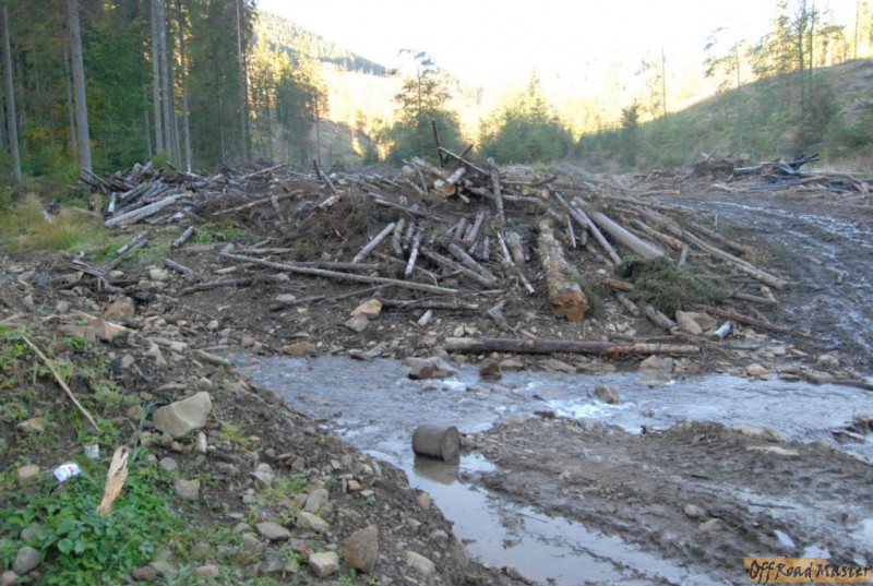 Горный бурелом.JPG