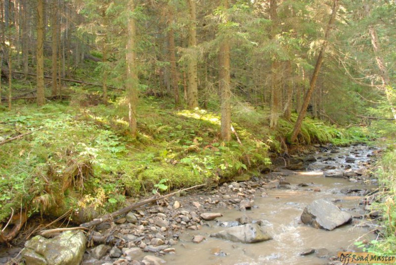 Горганы дорога.JPG