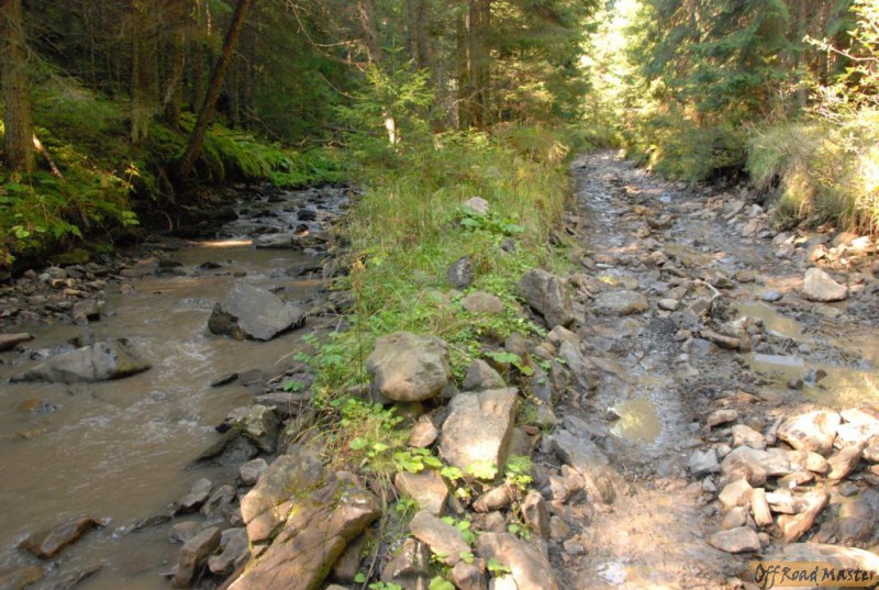 Горганы дороги класса Туризм.JPG