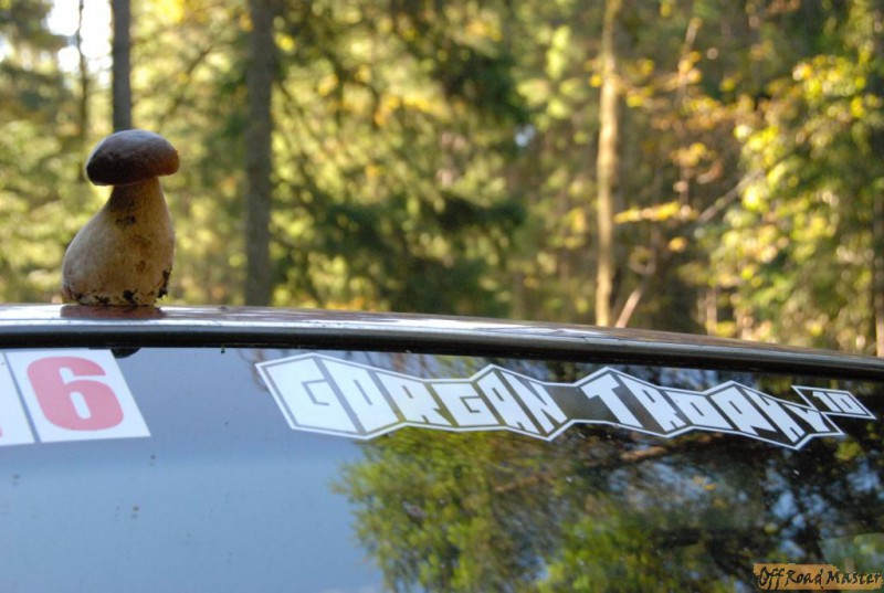 Горганы 2010 гриб.JPG