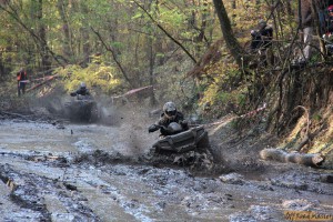 IMG_4270.jpg IMG_4270.jpg