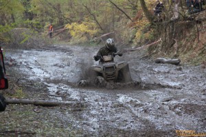 IMG_4231.jpg IMG_4231.jpg