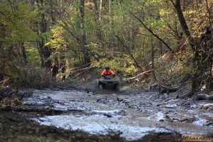 IMG_4303.jpg IMG_4303.jpg