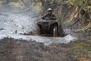 IMG_4364.jpg IMG_4364.jpg