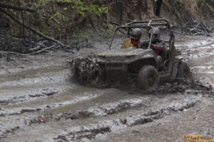 IMG_4549.jpg IMG_4549.jpg