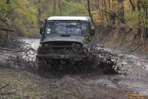 IMG_4509.jpg IMG_4509.jpg