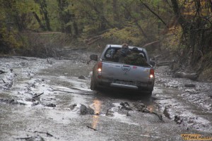 IMG_4511.jpg IMG_4511.jpg