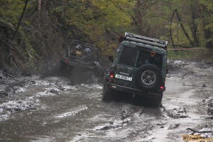 IMG_4535.jpg IMG_4535.jpg