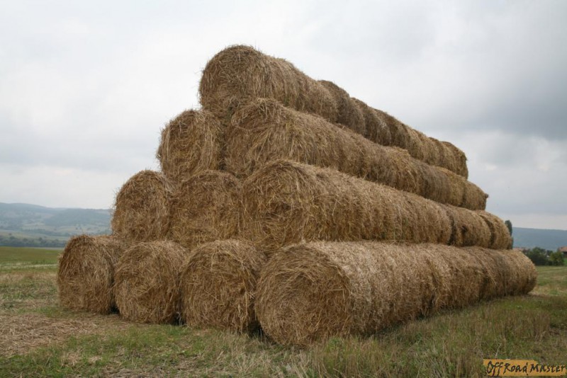 IMG_7830.JPG IMG_7830.JPG