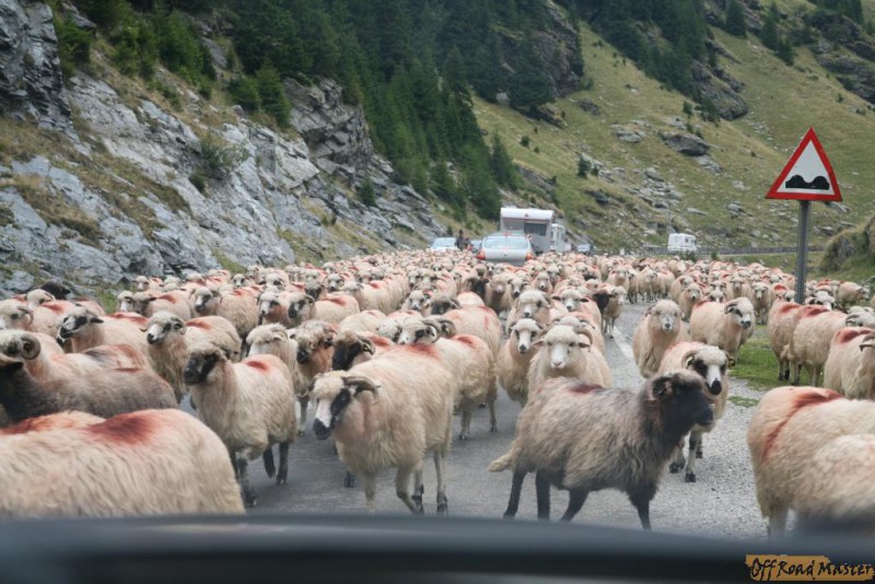 IMG_7411.JPG IMG_7411.JPG