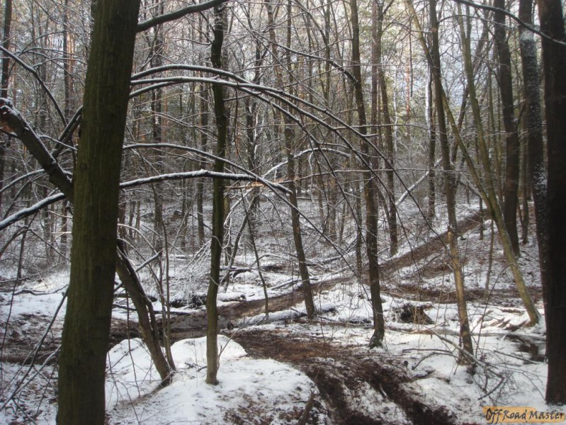 DSC09581_новый размер.JPG