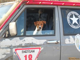 rezervachiy2011 080.jpg rezervachiy2011 080.jpg