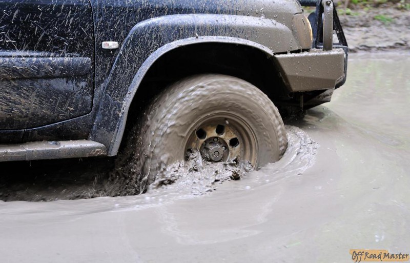 DSC_4219_r.jpg DSC_4219_r.jpg