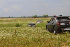 DSC_6889.JPG DSC_6889.JPG