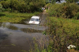 DSC_6522.JPG DSC_6522.JPG