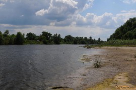 DSC_7100.JPG DSC_7100.JPG