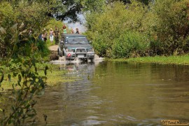 DSC_6475.JPG DSC_6475.JPG