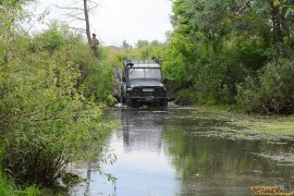 DSC_6813.JPG DSC_6813.JPG