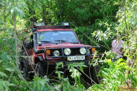 DSC_7317.JPG DSC_7317.JPG