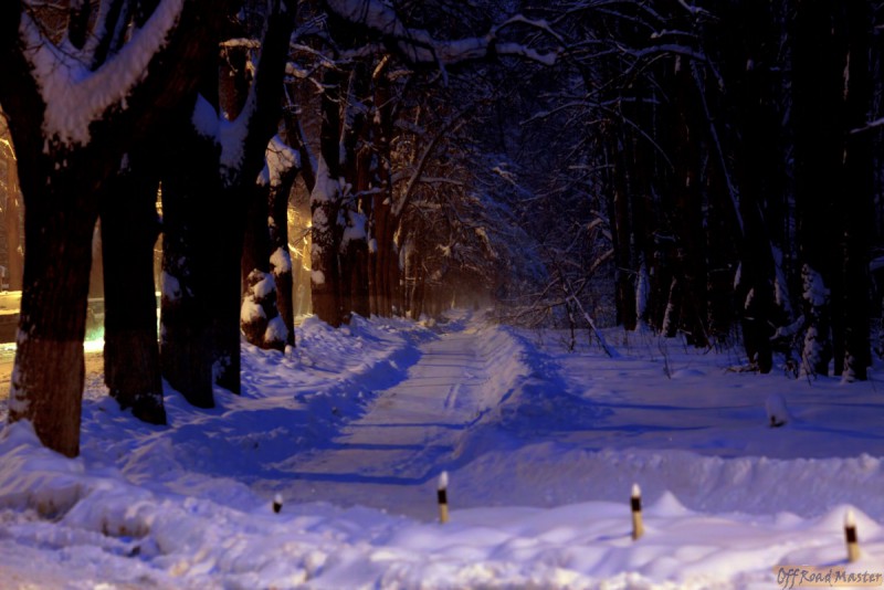 Пушкинский135L 1586981.jpg