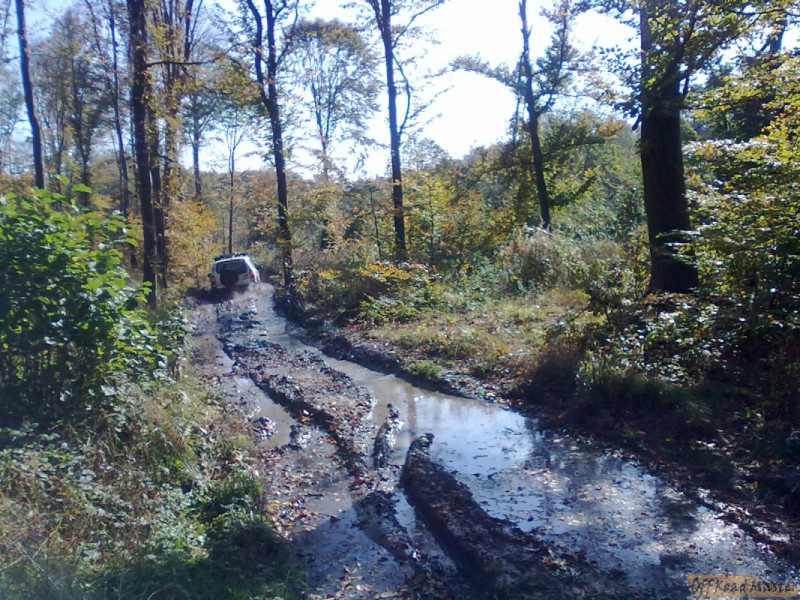 09102010534.jpg 09102010534.jpg