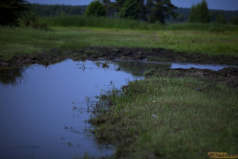 Девственный, не тронутый поросенок перед Фестом" 11