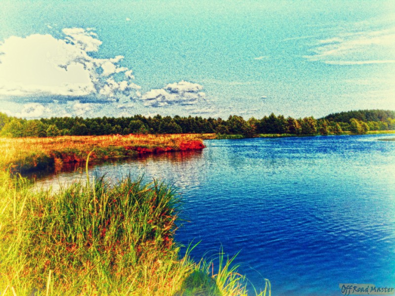 Offroad FreeFEST 2011